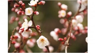 春に向けてやること＆体調管理