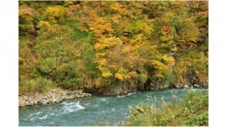 「上信越高原国立公園」と心のリフレッシュ