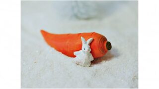 「雪下にんじん」　美味しいですか？