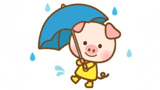 新潟の気候に合わせた梅雨前の暮らしケア