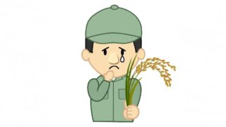 【米価格下落】米農家の危機感と消費者の視線