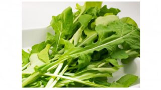 【家庭菜園】9月に植え付けや種まきをする野菜