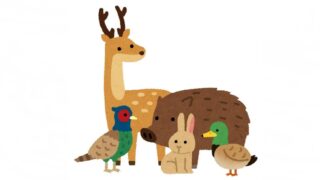 ジビエ料理、美味しいですか？