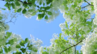 🎊設立記念日🎊